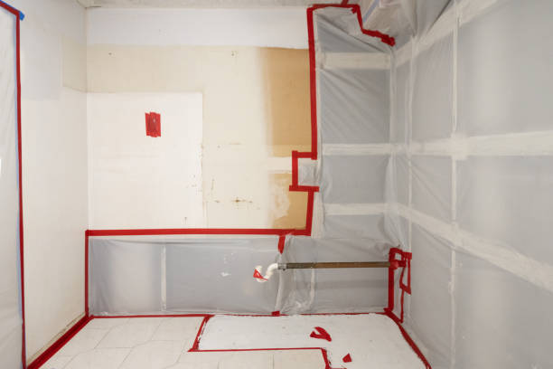 Mold Odor Removal Services in Port Ludlow, WA