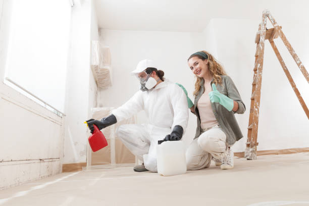 Best Residential Mold Inspection & Testing  in Port Ludlow, WA